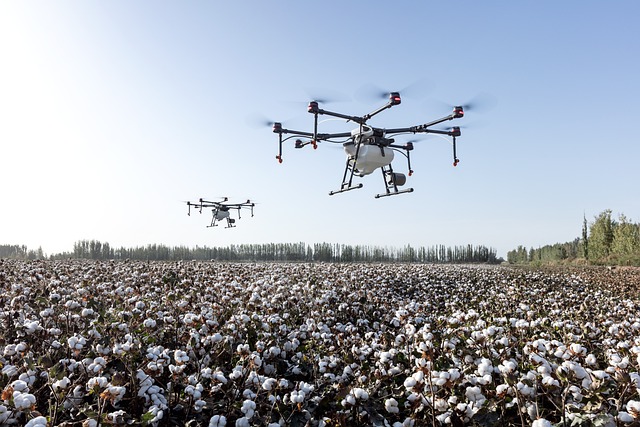 drones profesionales controlando un cultivo de algodón